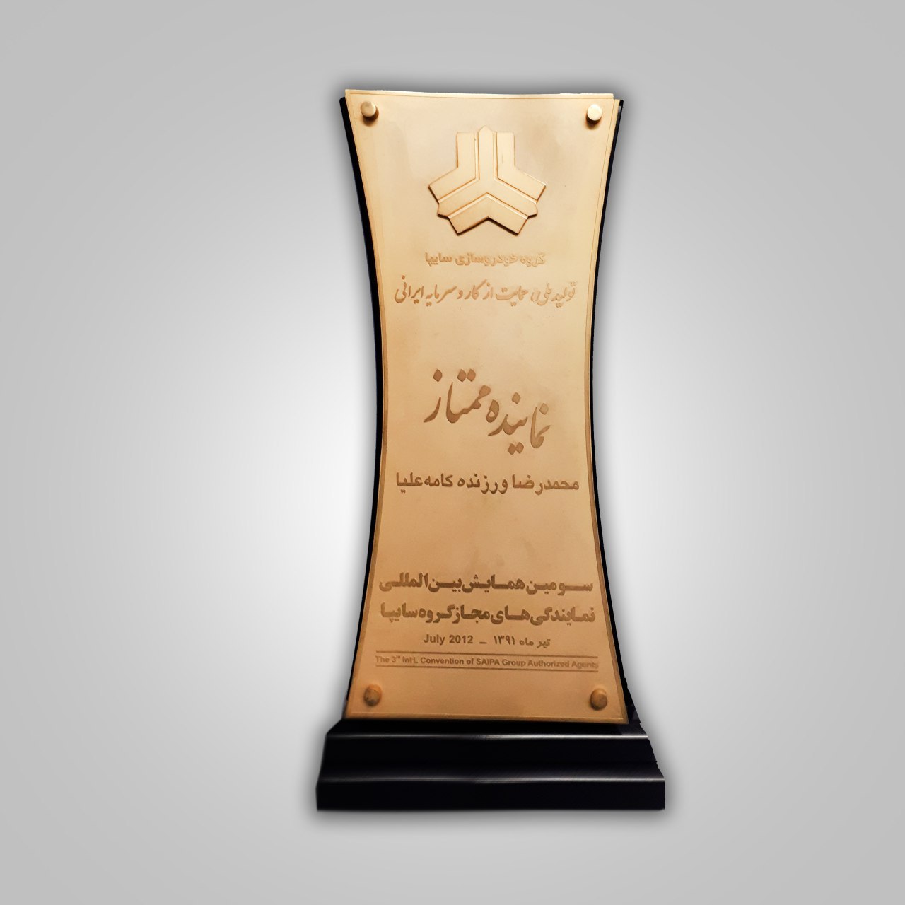 نماینده ممتاز سال 1391